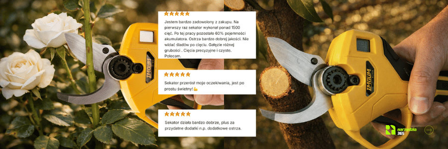 prawidłowe cięcie roślin, drzew, hortensji sekatorem